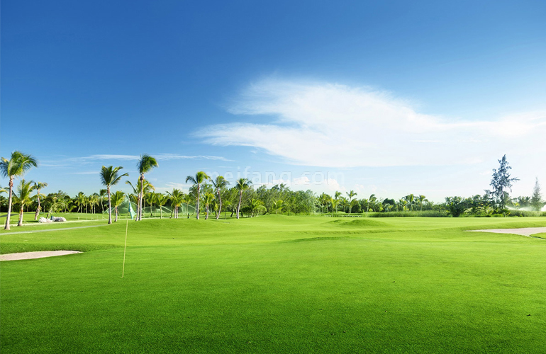 观澜湖君悦公馆高尔夫球场