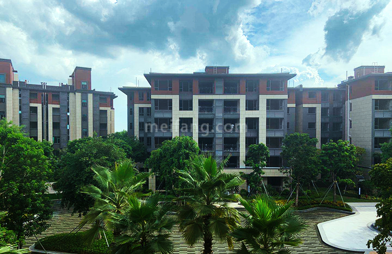 景业白鹭洲实景图