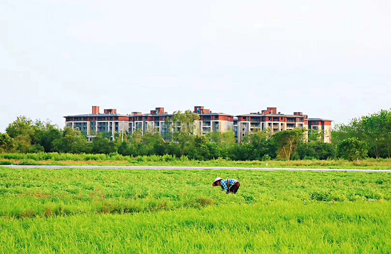 景业白鹭洲实景图