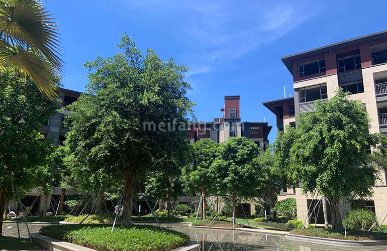 景业白鹭洲实景图