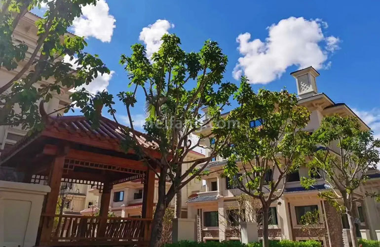 建业君邻大院实景图