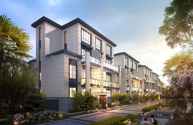 天使海棠明悦效果图