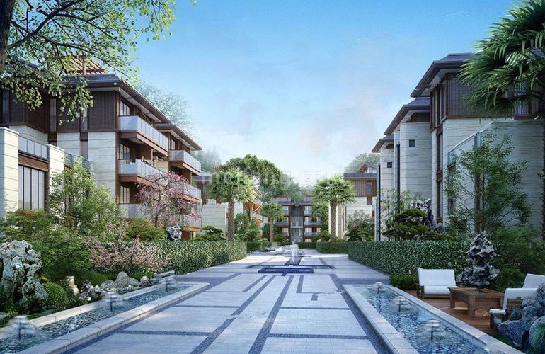 天使海棠明悦效果图