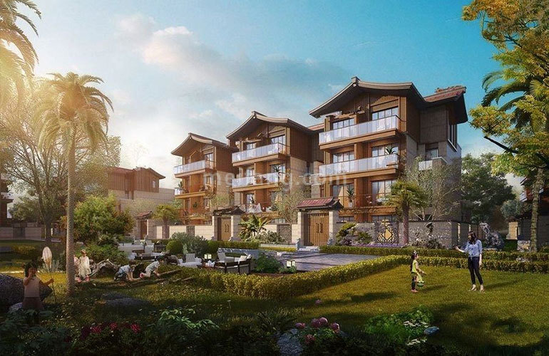 天使海棠明悦效果图