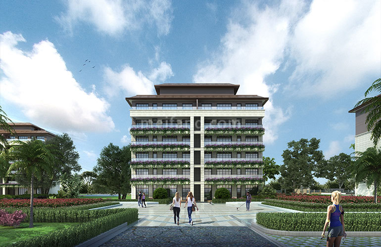 天使海棠明悦效果图