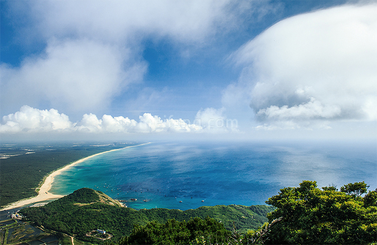 世茂怒放海月亮湾