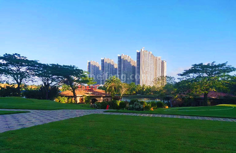 碧桂园东海岸实景图