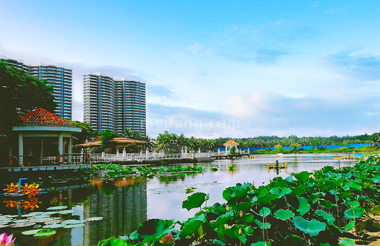 碧桂园东海岸实景图
