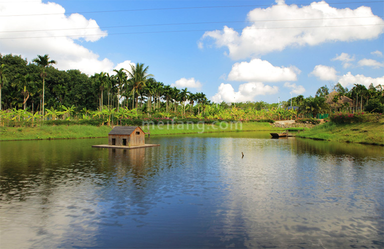 官塘学院小镇晴耕农场