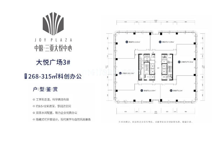 大悦广场3#平面图 建面268-315㎡