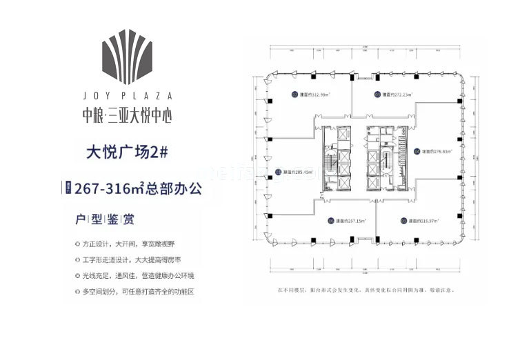 大悦广场2#平面图 建面267-316㎡