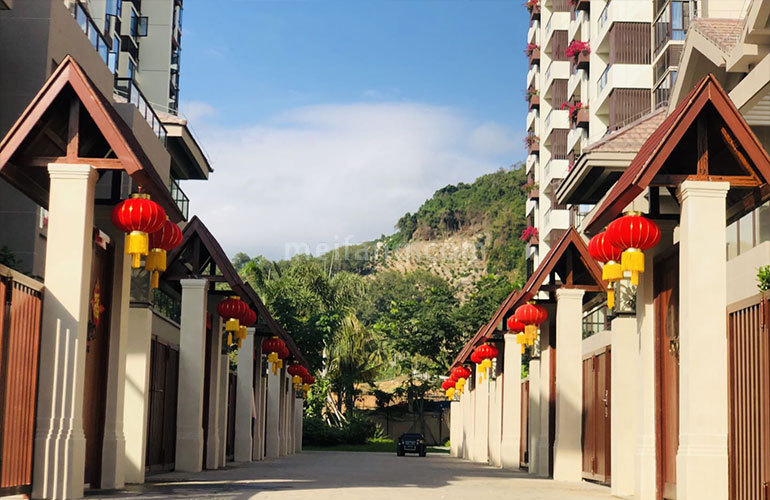 海棠花开实景图