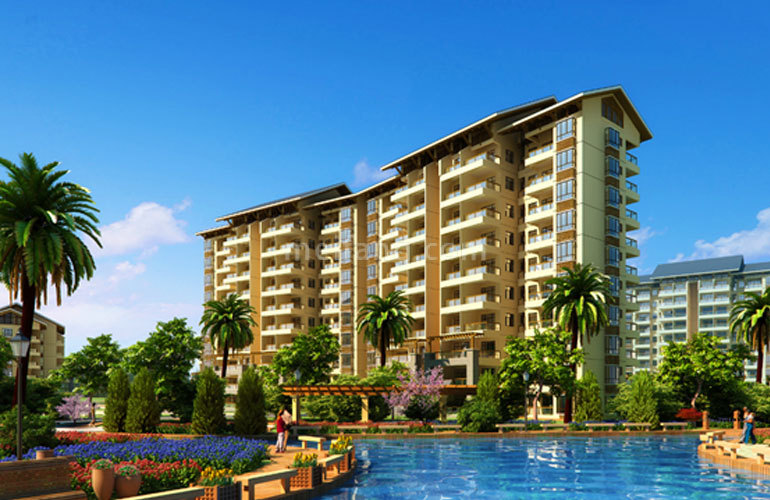 棋子湾半岛阳光