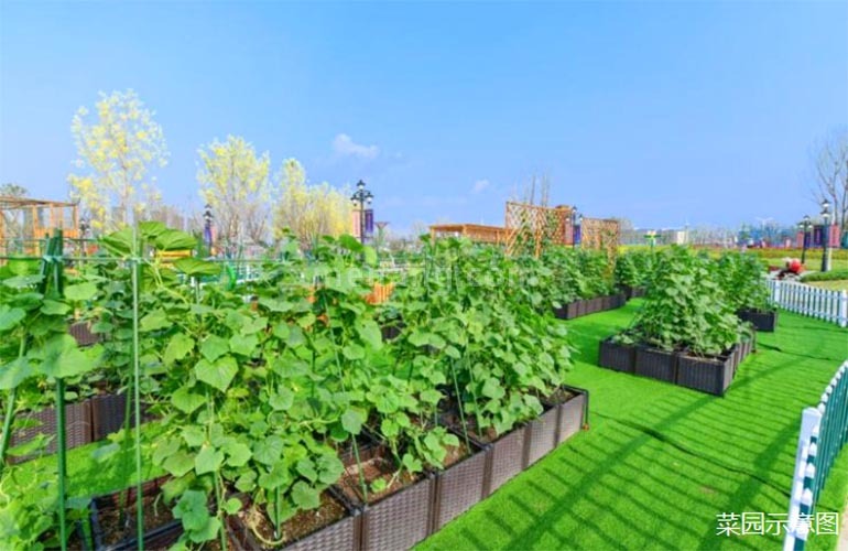 椰林小筑菜园示意图