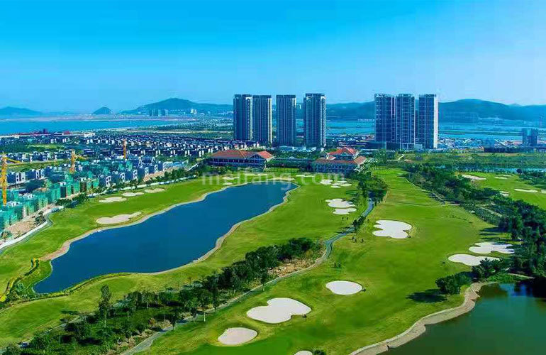 九洲保利天和观汀实景图