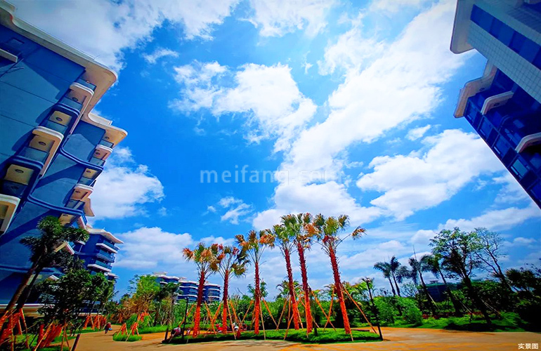 观澜湖君悦公馆实景图