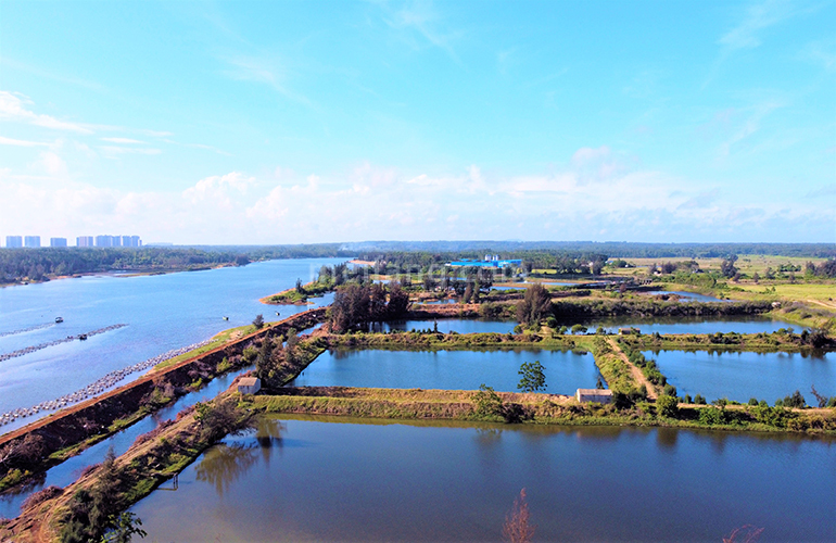 富力悦海湾6#南向实景图