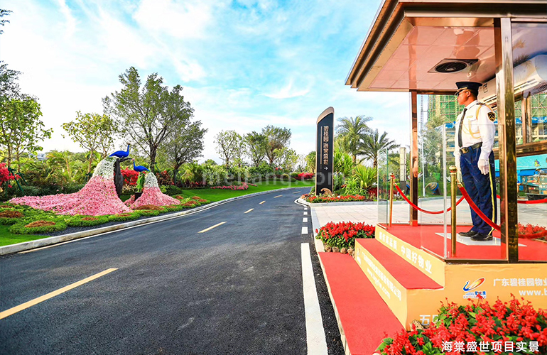 碧桂园海棠盛世实景图