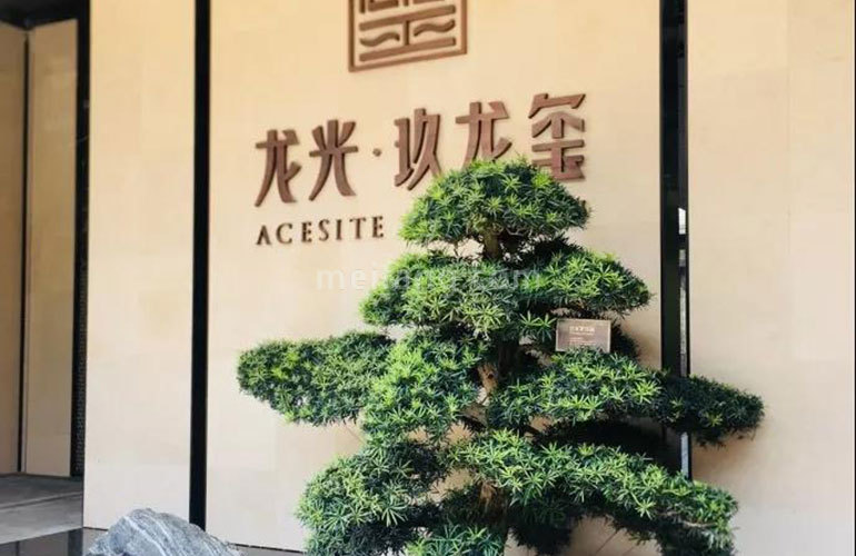 龙光玖龙玺实景图