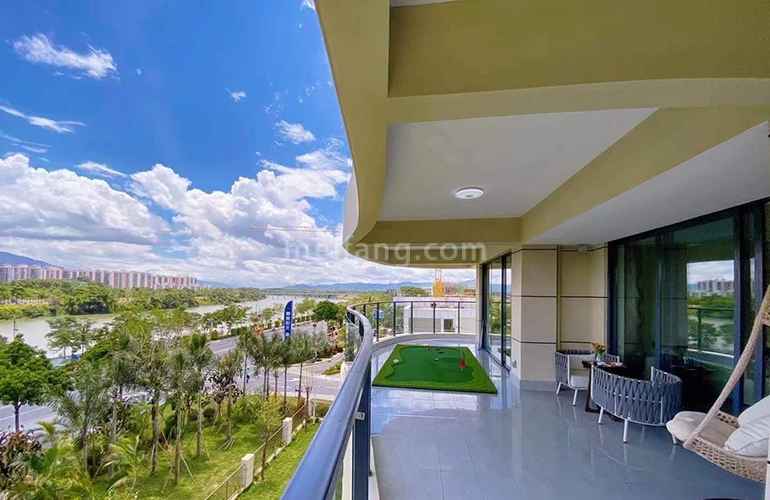 椰林阳光实景图