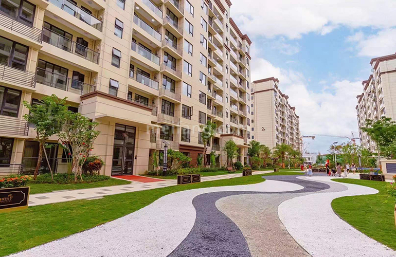 椰林阳光实景图