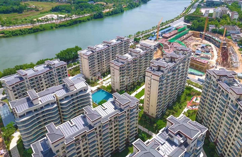 椰林阳光实景图