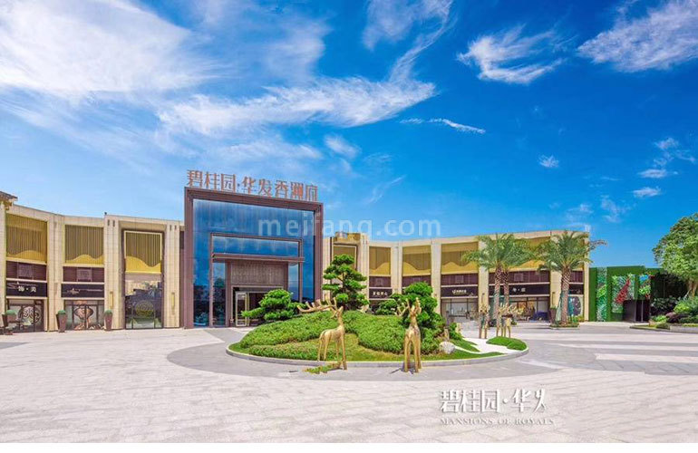 碧桂园华发香洲府实景图