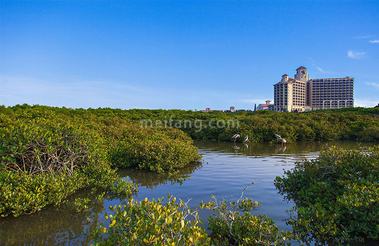 富力红树湾实景图