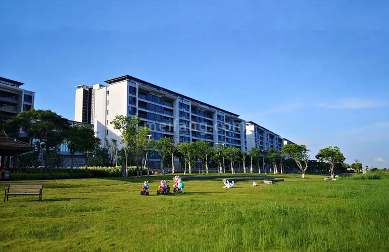 中海十里观澜实景图