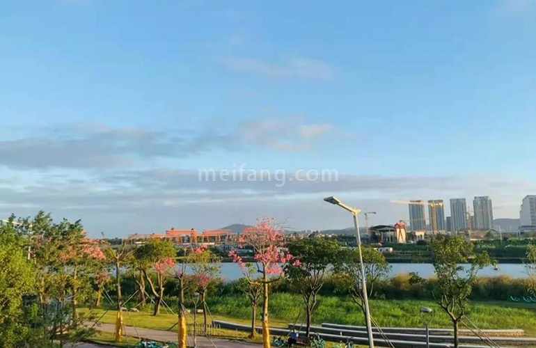 中海十里观澜实景图