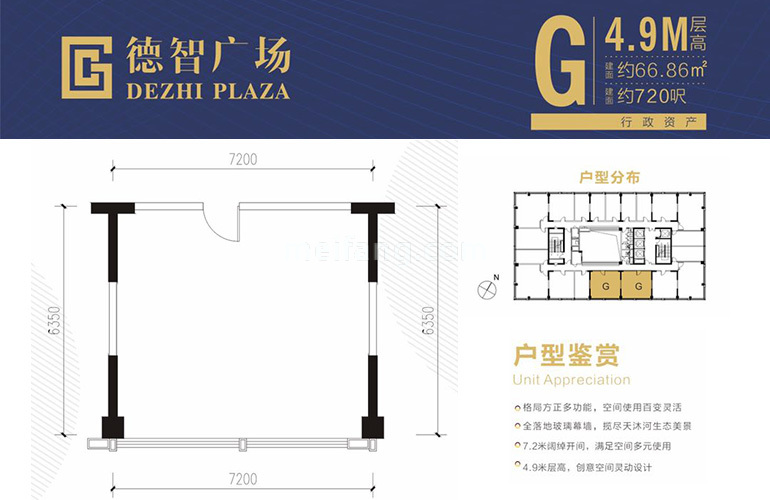 G户型 建面66㎡
