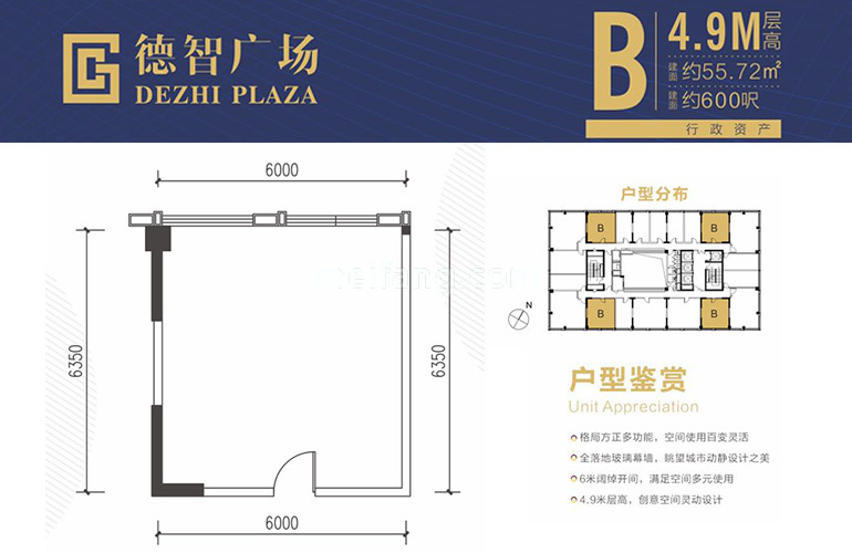 B户型 建面55㎡