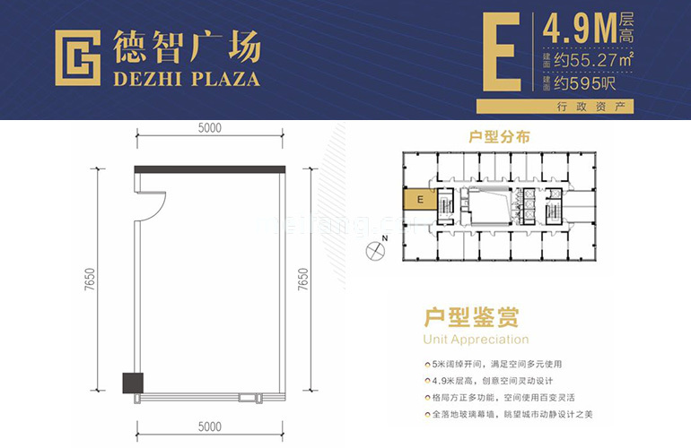 E户型 建面55㎡