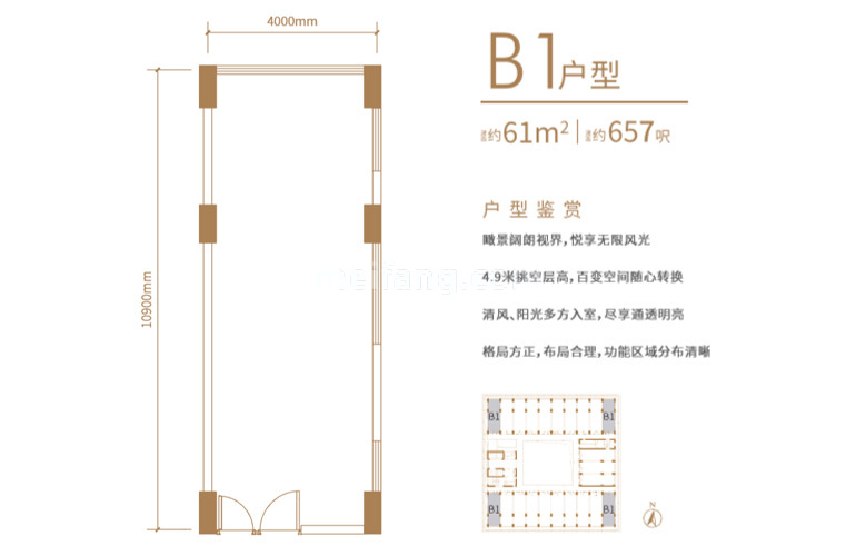 B1户型 建面61㎡