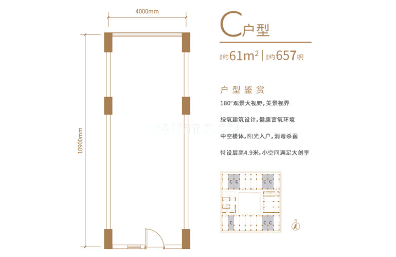 C户型 建面61㎡