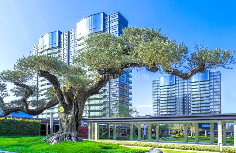 崇峰壹号院实景图