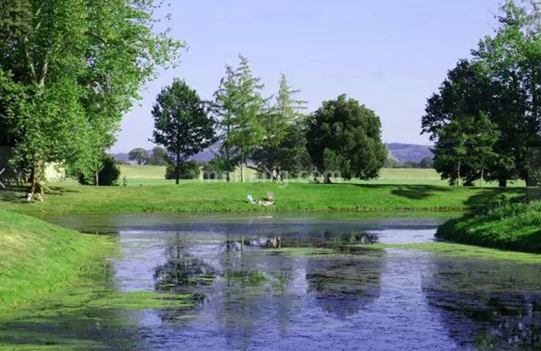 崇峰壹号院金山公园