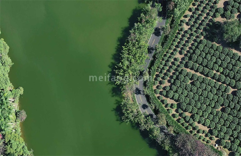 鸿基翡翠湖实景图