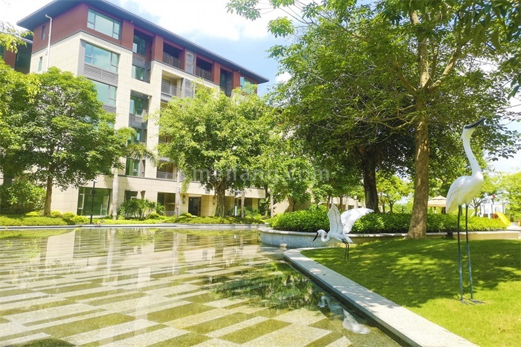 景业白鹭洲实景图