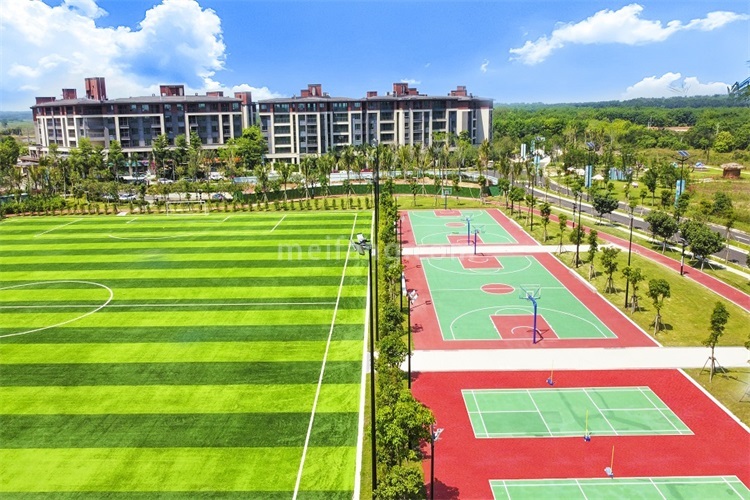 景业白鹭洲体育公园实景图