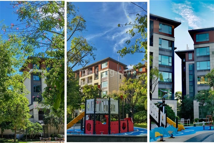 景业白鹭洲实景图