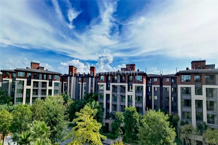 景业白鹭洲实景图