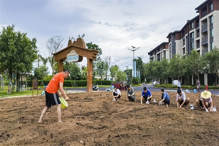 景业白鹭洲实景图