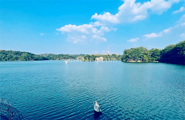 鸿基翡翠湖实景图