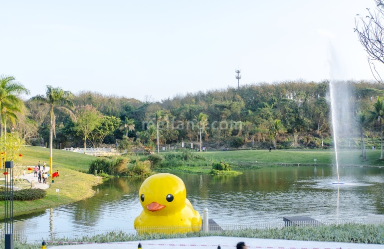 鸿基翡翠湖实景图
