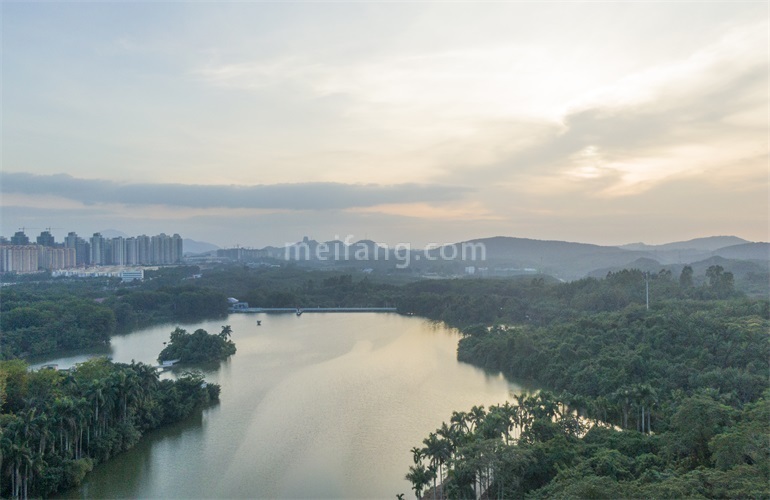 鸿基翡翠湖实景图