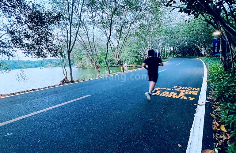 鸿基翡翠湖实景图