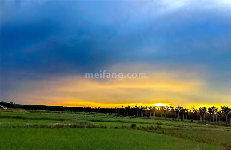 景业白鹭洲实景图