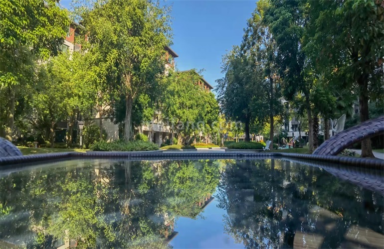 景业白鹭洲景区景观