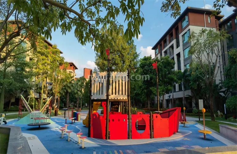 景业白鹭洲橡胶林